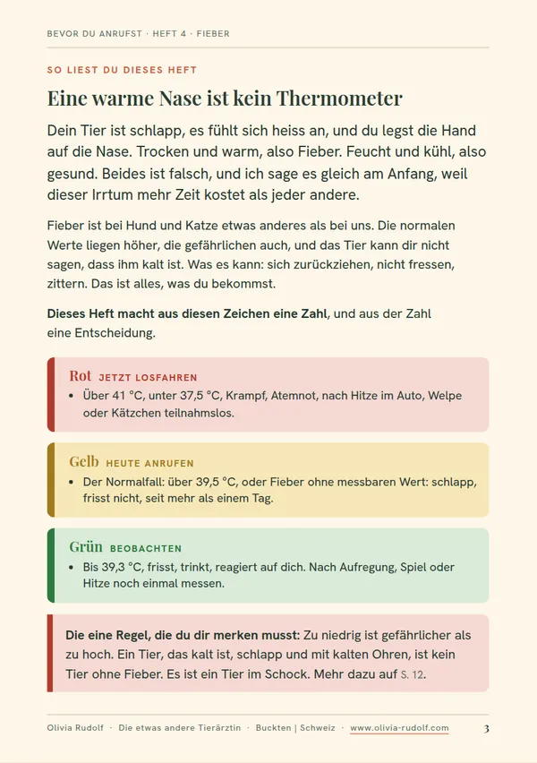 Beispielseite: die Ampel mit Rot, Gelb und Grün