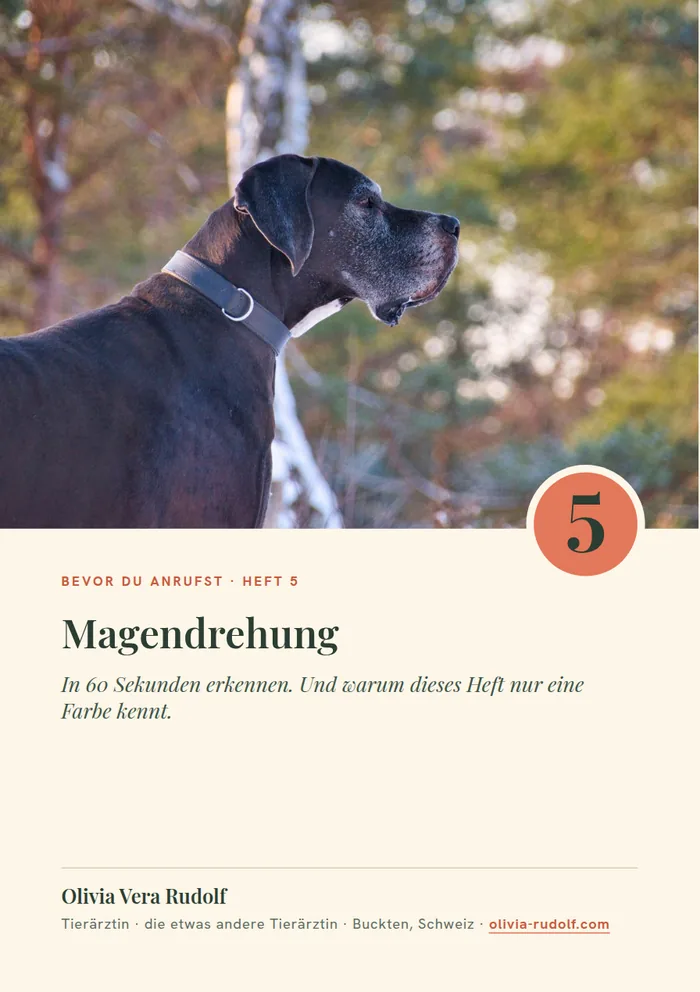 Titelseite Heft 5: Deutsche Dogge im Profil