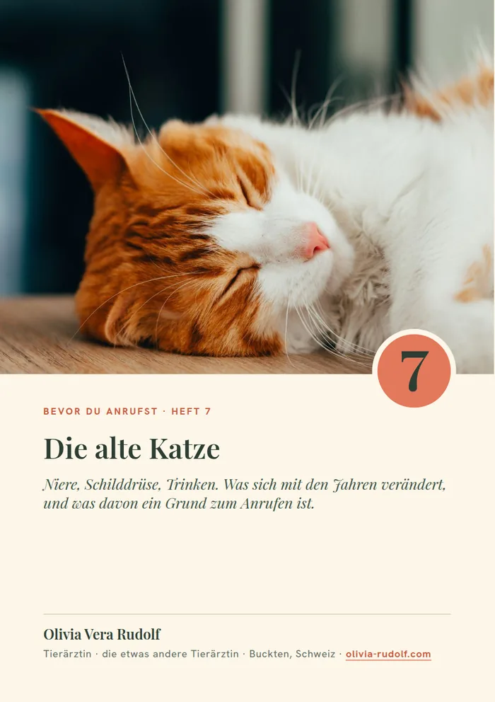 Titelseite Heft 7: Rote Katze schläft auf dem Tisch