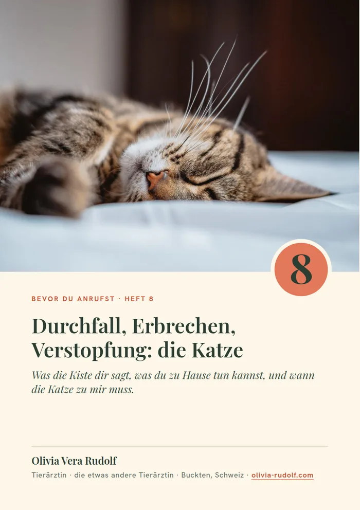 Titelseite Heft 8: Katze liegt ausgestreckt auf hellem Tuch