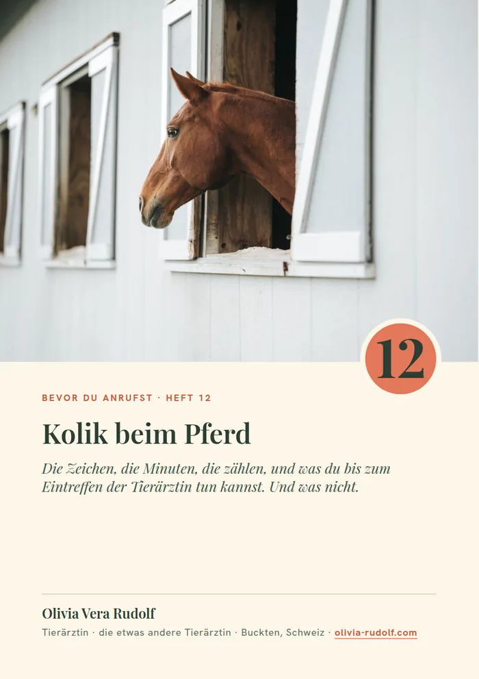 Titelseite Heft 12: Pferd schaut aus dem Stallfenster