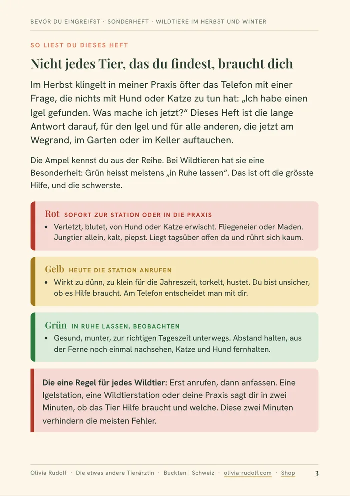 Die Ampel: Rot, Gelb, Grün
